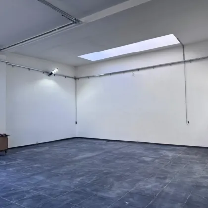 Große Halle, Werkstatt mit Lichtkuppel, Sektionaltor 5m breit, 4,30m hoch und WC (inkl. PKW Parkplatz) PROVISIONSFREI!!! - Bild 2