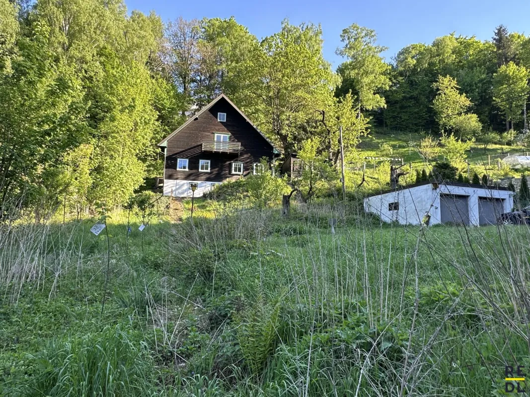 Naturparadies am Stadtrand! - Bild 1