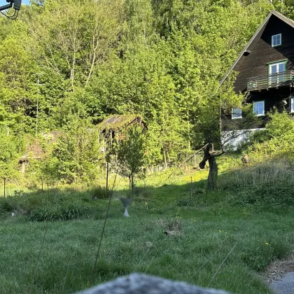 Naturparadies am Stadtrand! - Bild 2