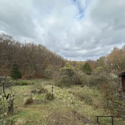 Naturparadies am Stadtrand! - Bild 3
