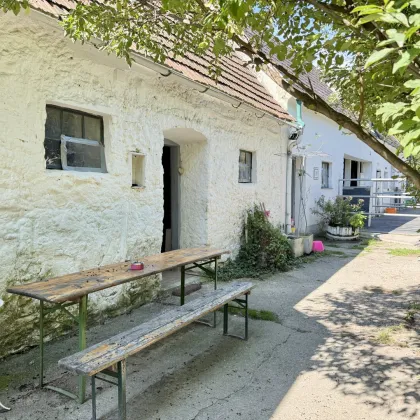 Pferdeparadies: Reitplatz, Halle, Koppeln & charmanter Streckhof in der Nähe von Eisenstadt - Bild 3
