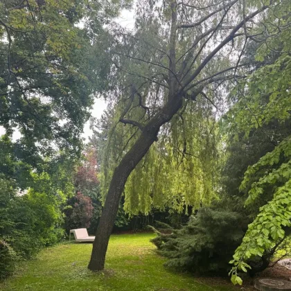 Riesige Familienvilla mit Poolhalle, uneinsichtigem Garten und großer Garage - Bild 3