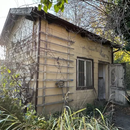 TOP LAGE ! SELTENE GELEGENHEIT ! GROSSES GRUNDSTÜCK MIT ALTBESTAND IN KLOSTERNEUBURG OBERE STADT ! - Bild 3