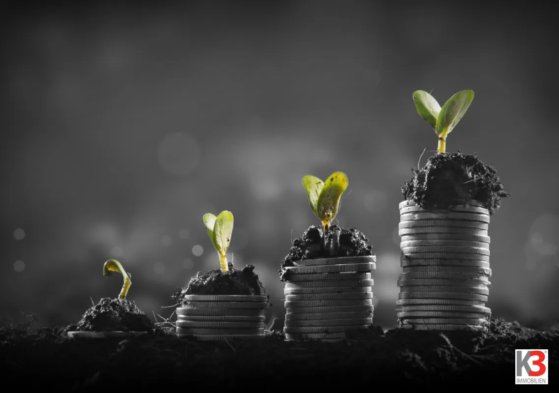 K3 - BÜRO u. GESCHÄFTSHAUS inkl. EIGENTÜMERWOHNUNG mit guter Rendite - Bild 1