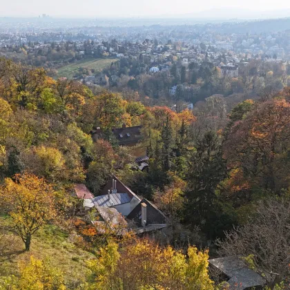 Ehemaliges Weinhauerhaus in einzigartiger Sieveringer Lage wartet auf Revitalisierung! - Bild 2