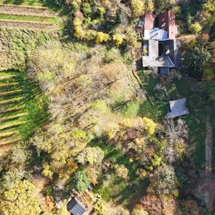 Ehemaliges Weinhauerhaus in einzigartiger Sieveringer Lage wartet auf Revitalisierung! - Bild 3