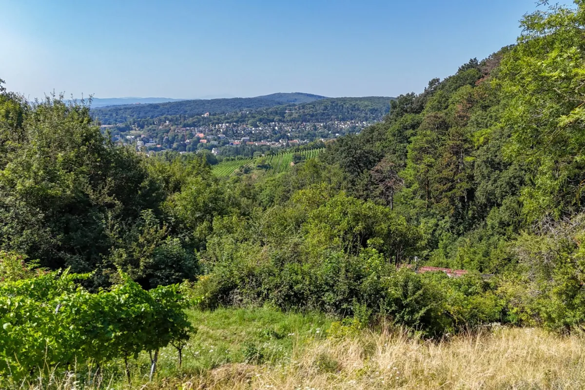 Ehemaliges Weinhauerhaus in einzigartiger Sieveringer Lage wartet auf Revitalisierung! - Bild 1