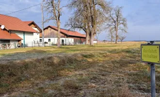 BAUGRUNDSTÜCK IM RUHIGEN ORTSTEIL MOOS
