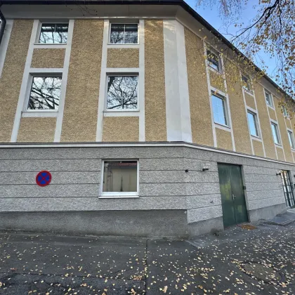 Galerie / Geschäftslokal in Toplage! - Bild 3