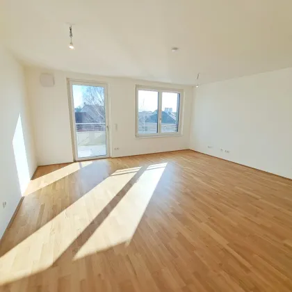 Ihr neues Zuhause wartet in Deutsch-Wagram! - Bild 3