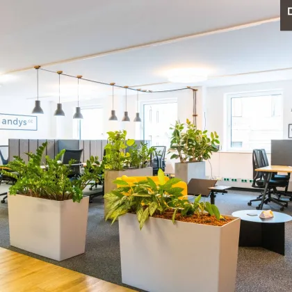 + + + Büroflächen und Co-working | NÄHE MARIAHILFERSTRASSE + + + - Bild 2