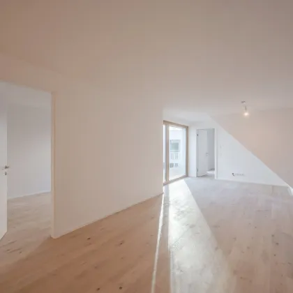 hofseitige 3 Zimmer Erstbezugswohnung mit Balkon in beliebter Lage: Apollogasse18 -perfekte Infrastruktur! - Bild 2