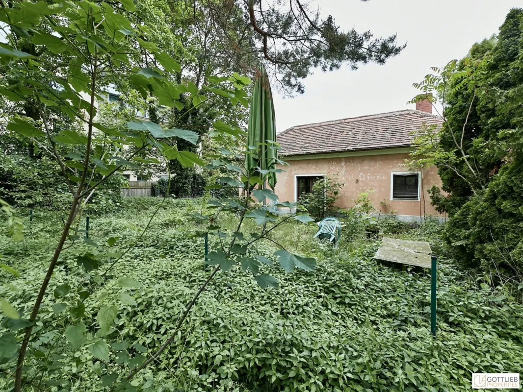 Schönes Doppel-Eckgrundstück mit Eigengarten und viel Potential - Bild 1