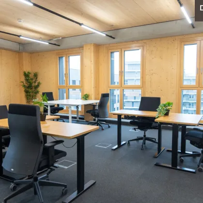 + + + Büroflächen und Co-working in Business-Center | SEESTADT + + + - Bild 2
