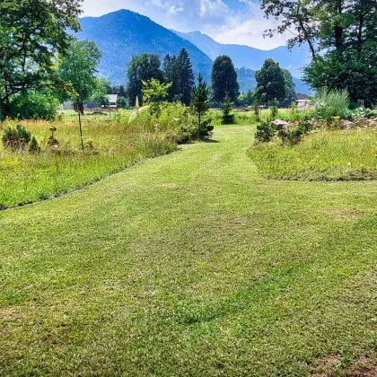 Oase der Ruhe - idyllisches Grundstück mit Bauwidmung - Bild 2