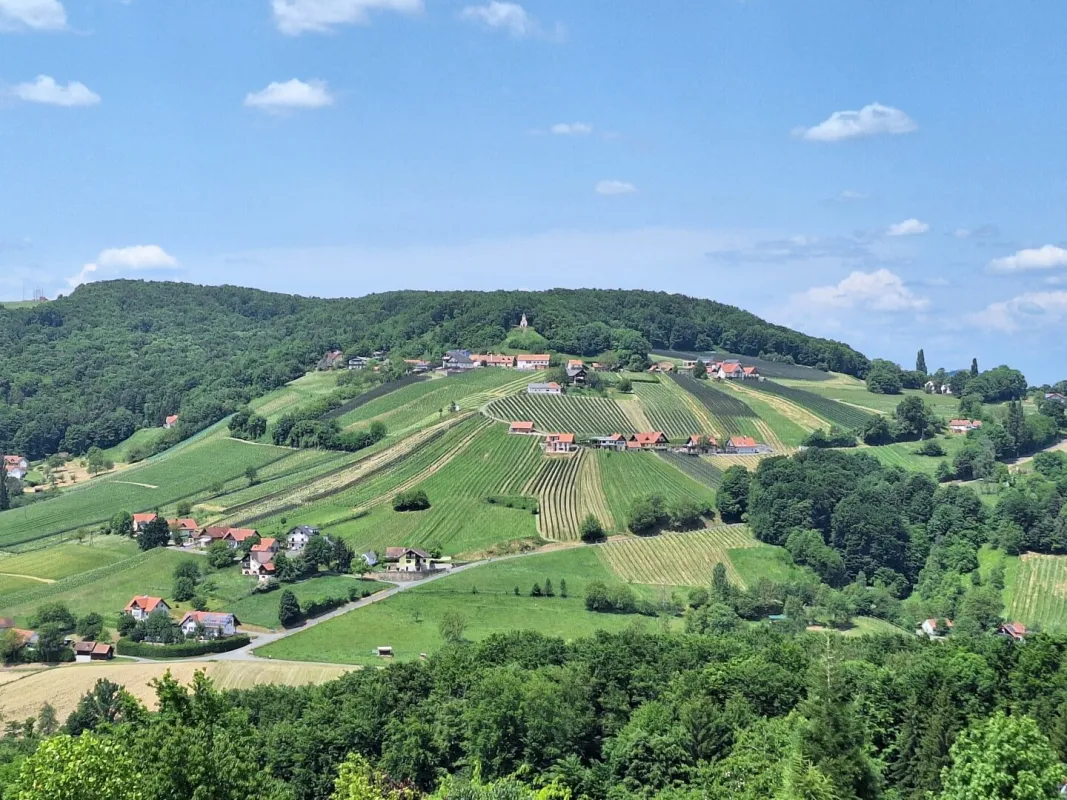Touristisch ausgewiesenes Betriebsbauland in Waltra, St. Anna am Aigen  Südoststeiermark - 110.456m² zum Kauf ! - Bild 1