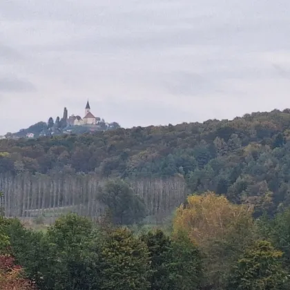 Touristisch ausgewiesenes Betriebsbauland in Waltra, St. Anna am Aigen  Südoststeiermark - 110.456m² zum Kauf ! - Bild 2