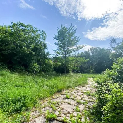 BAUGRUNDSTÜCK IN IDYLLISCHER GRÜNRUHELAGE - Bild 3