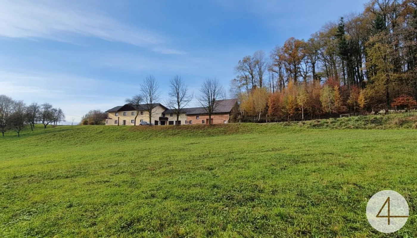 Zweifamilien-Haus mit 1,7 ha landwirtschaftlicher Nutzfläche und Quellwasser - Bild 1