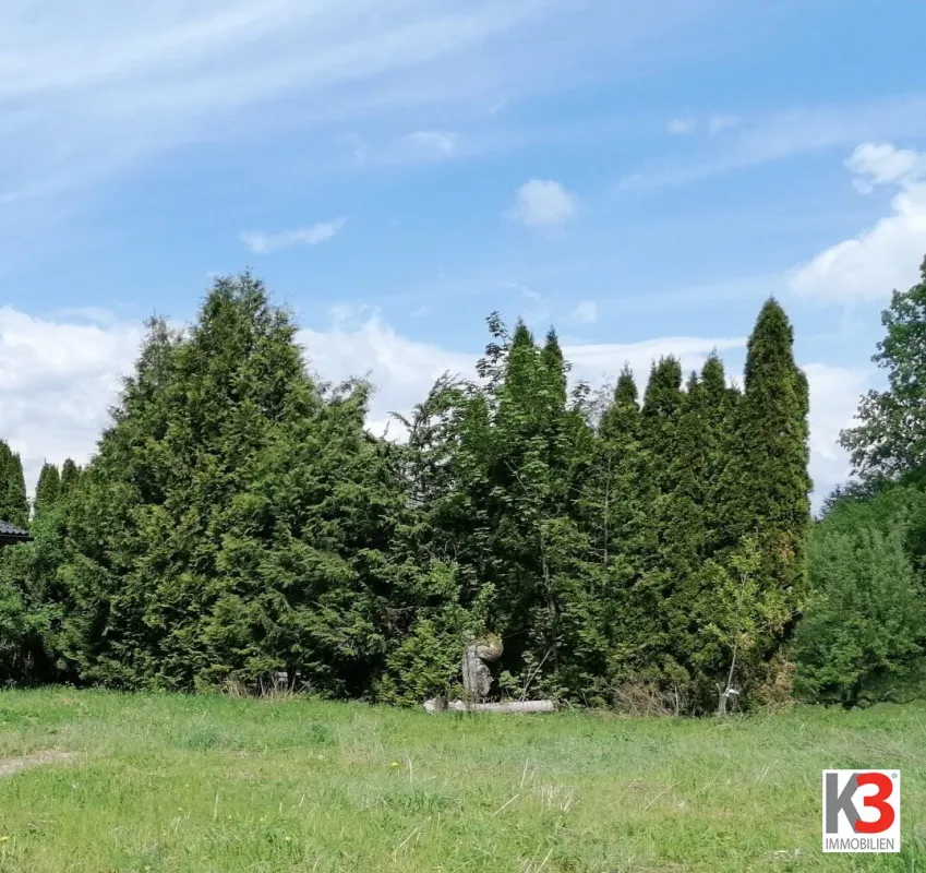 K3 - Baugrundstück mit Wald in Rosegg - Bild 1