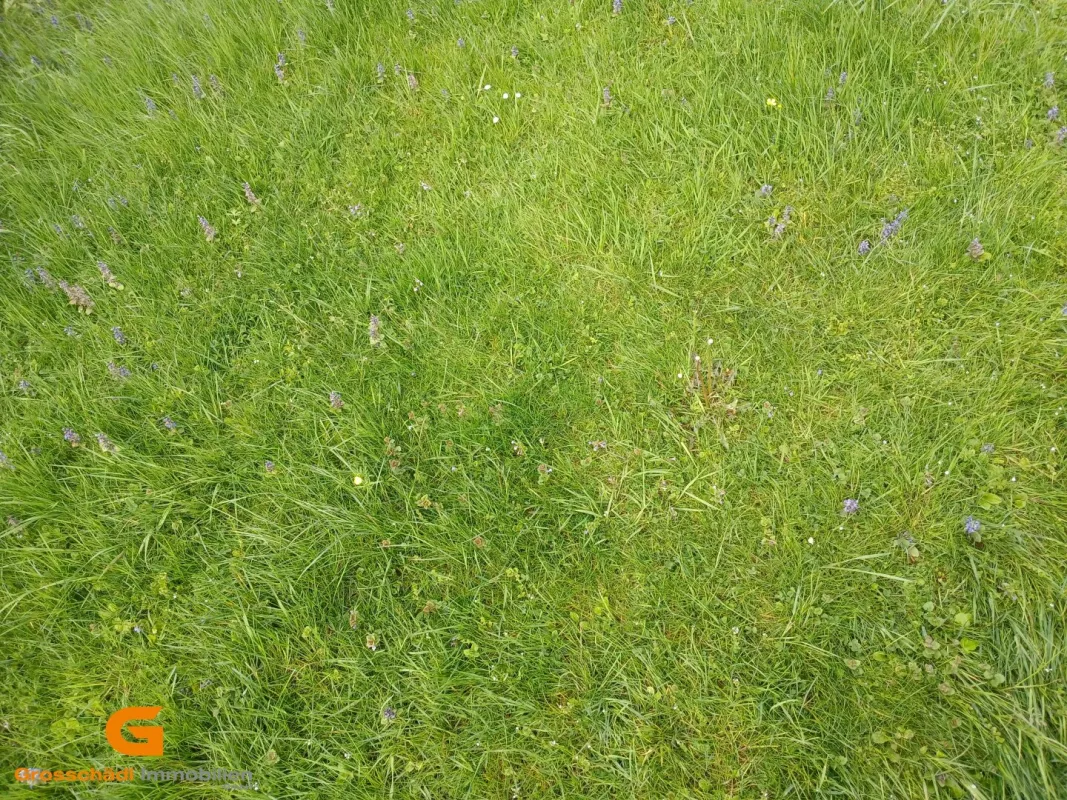 Werbewirksames Gewerbegrundstück Nähe Thalgau an der A1 kaufen - Bild 1
