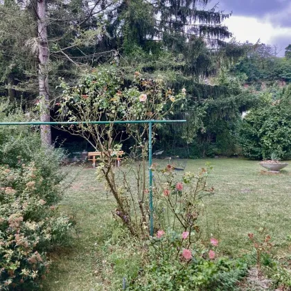 NOTVERKAUF!! - Kritzendorf – Ein-Mehrfamilienhaus für Bastler mit Potenzial auf Pachtgrund - Bild 3