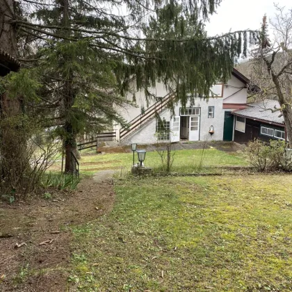 Renovierungsbedürftiges Einfamilienhaus in idyllischer Lage in Gießhübl - Ihr neues Zuhause - Bild 2