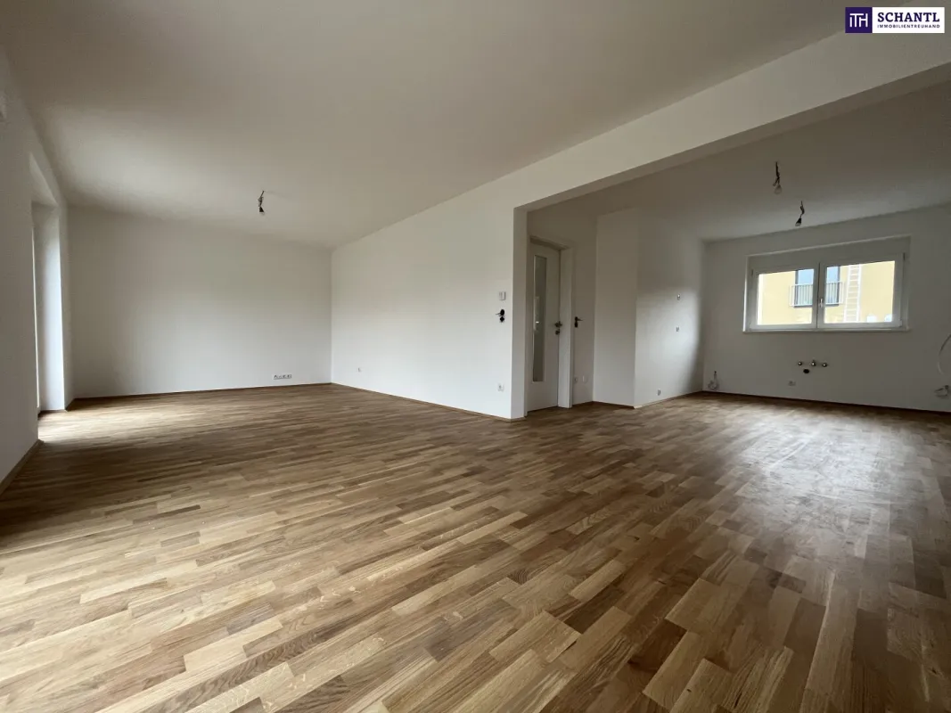 Rohrbach! Neubau-Doppelhaushälften! Garten, Keller, Carport uvm. - Bild 1