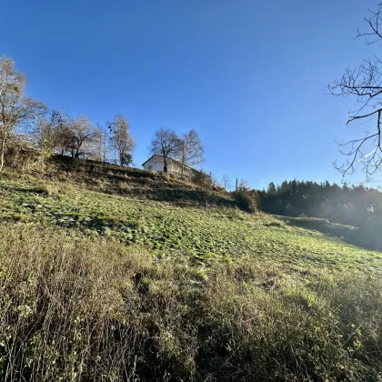 BERG UND FERNBLICK - Bild 2