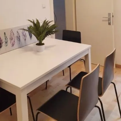 Studentenwohnhaus oder 2 Familienhaus - Bild 3