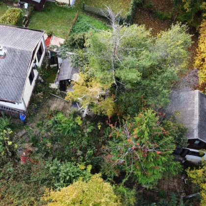 2 stark renovierungsbedürftige Häuser auf einem Grundstück mit schöner Fernsicht zu verkaufen - Bild 3