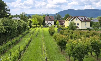 Villenbaugrund (1.335m²) in der Langenzersdorfer Kellergasse am Fuße des Bisambergs
