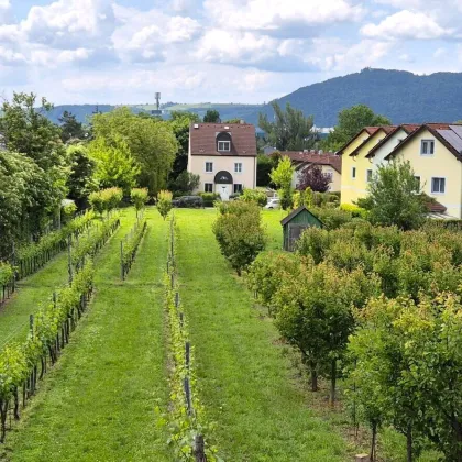 Villenbaugrund (1.335m²) in der Langenzersdorfer Kellergasse am Fuße des Bisambergs - Bild 2