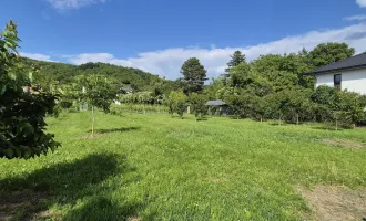 Villenbaugrund (1.335m²) in ruhiger Langenzersdorfer Siedlungslage