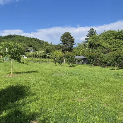 Villenbaugrund (1.335m²) in ruhiger Langenzersdorfer Siedlungslage - Bild 2