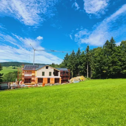 Wohnen am Waldesrand im schönen Mondseeland - Alleinlage - Baubeginn erfolgt! *provisionsfrei* Zweitwohnsitz - Bild 2