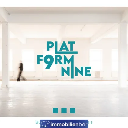 PLATFORM 9 - Business Rohdiamanten - LAGER neben Hauptbahnhof Wels - Bild 2