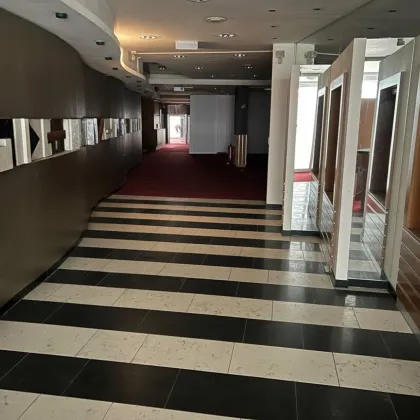 Bestandsfreies Stadthaus mit Entwicklungspotenzial im Zentrum von Wels zum Kauf - Bild 3