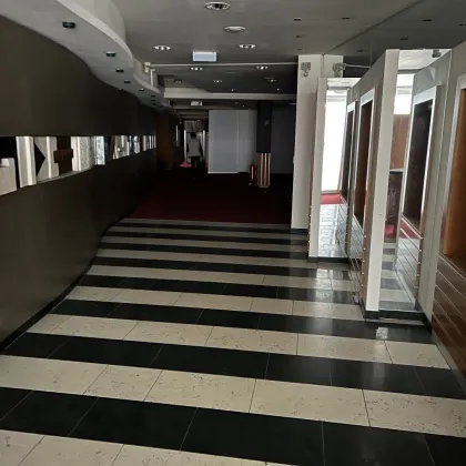Bestandsfreies Stadthaus mit Entwicklungspotenzial im Zentrum von Wels zum Kauf - Bild 3