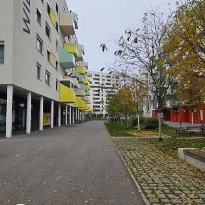 Top Lage | Moderne Geschäftsfläche (ca. 186 m²) mit großzügigen Räumlichkeiten! - Bild 2