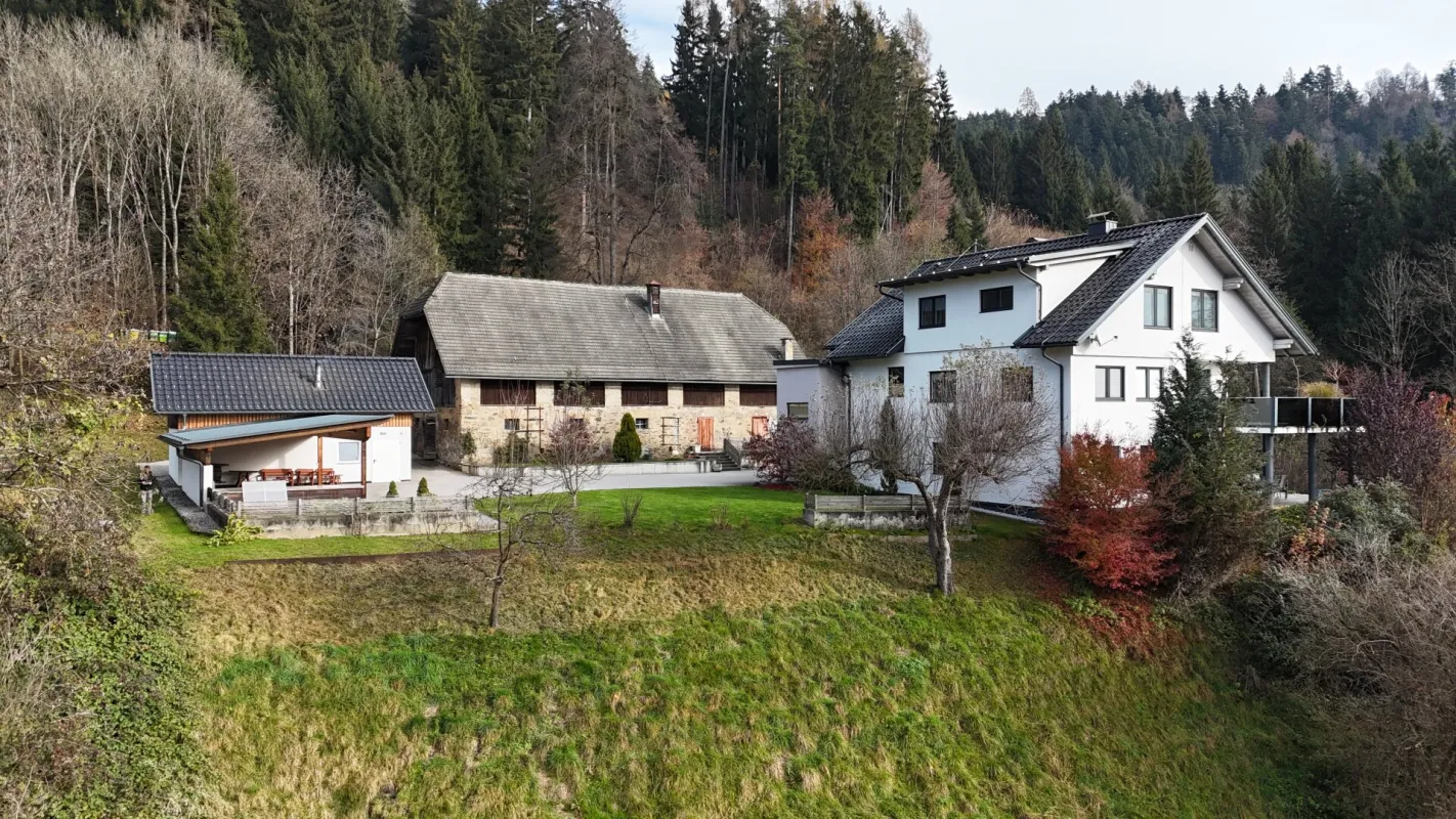 Exklusives Anwesen mit Seezugang in Kärnten - Land-, Forstwirtschaft und Luxus vereint - Bild 1