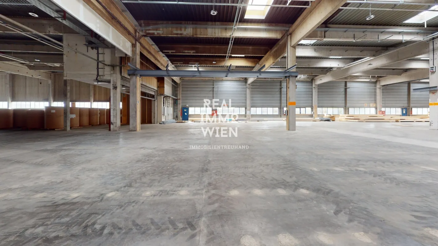 Großzügiges Lager mit Freifläche in zentraler Lage von Traiskirchen - ideal für Industrie und Gewerbe. - Bild 1