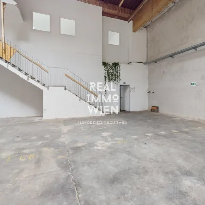 Großzügiges Lager mit Freifläche in zentraler Lage von Traiskirchen - ideal für Industrie und Gewerbe. - Bild 3