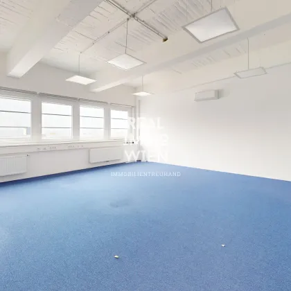 Moderne Büro- oder Praxisfläche in zentraler Lage von Traiskirchen! - Bild 2