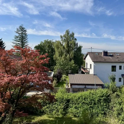 Renovierungsbedürftiges Haus in sonniger und ruhiger Siedlungslage I Leonding - Bild 3