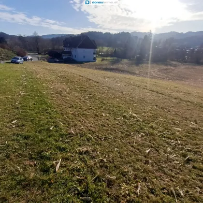 Sonniges Traumgrundstück mit Weitblick und viel Potenzial in Leutschach a.d. Weinstraße - Bild 2