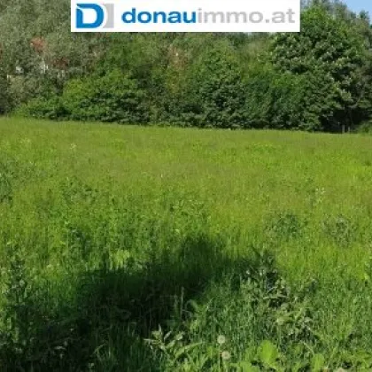 Sonniges Grundstück im Ortskern mit  viel Potenzial in Leutschach a.d. Weinstraße - Bild 2