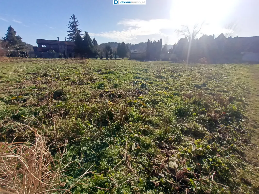 Sonniges Grundstück im Ortskern mit  viel Potenzial in Leutschach a.d. Weinstraße - Bild 1