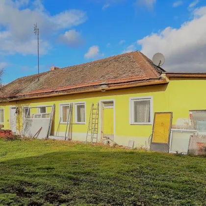 Großes Grundstück mit Einfamilienhaus und Lagerhalle - Bild 3