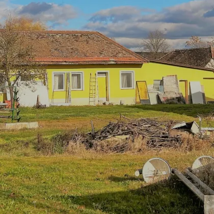 Großes Grundstück mit Einfamilienhaus und Lagerhalle - Bild 2